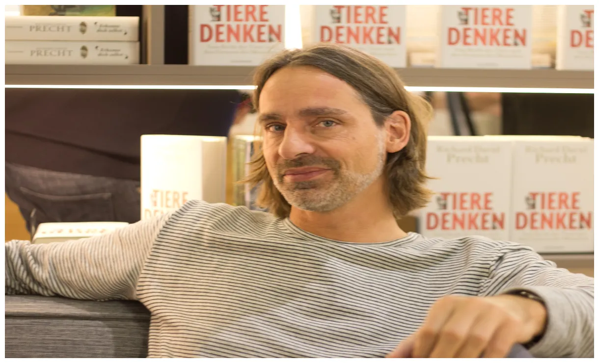 N99 richard david über jamaika und politischen wandel "ich