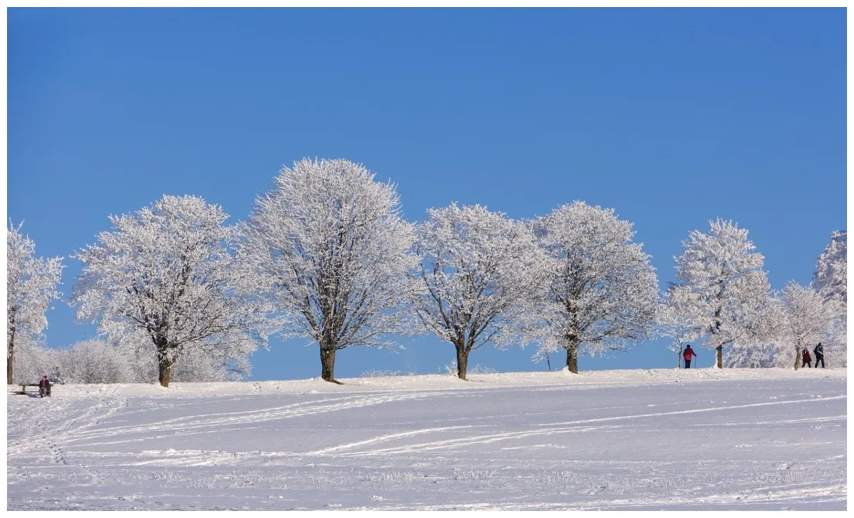 Neve e freddo in arrivo a bassa quota, le previsioni dell'aeronautica