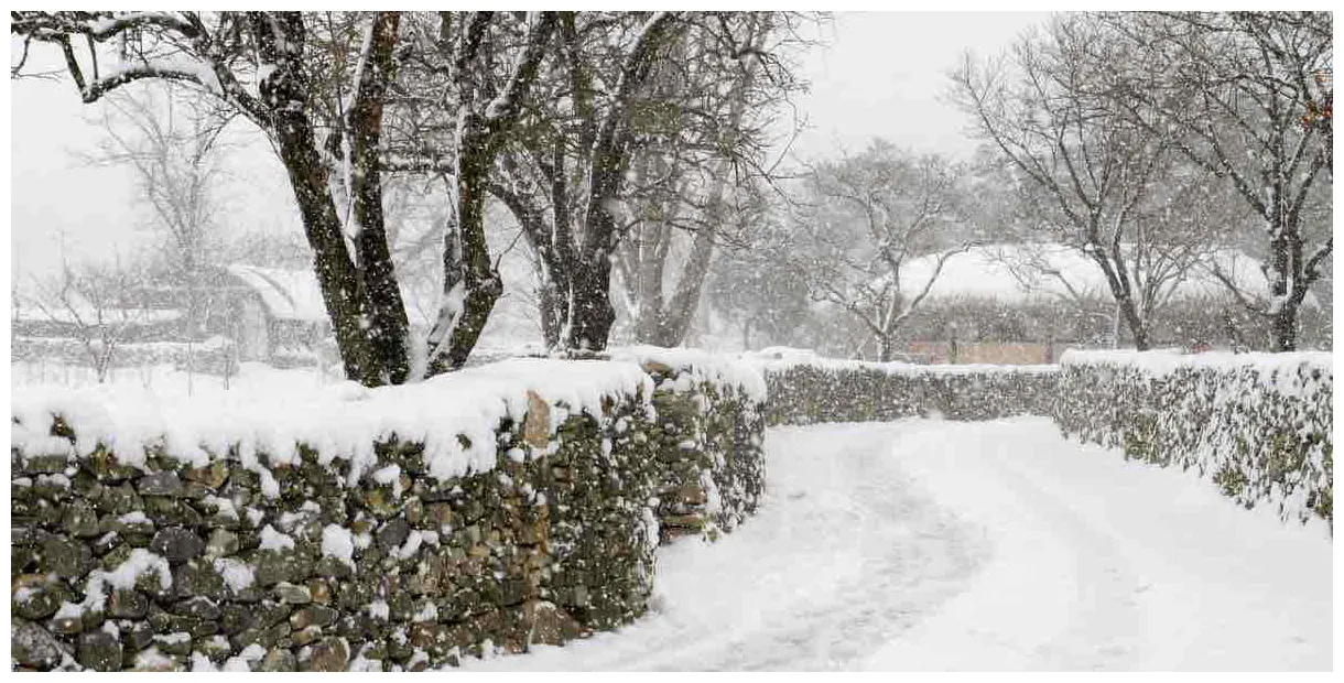 Neve in arrivo in italia? ecco dove e quando cadrà