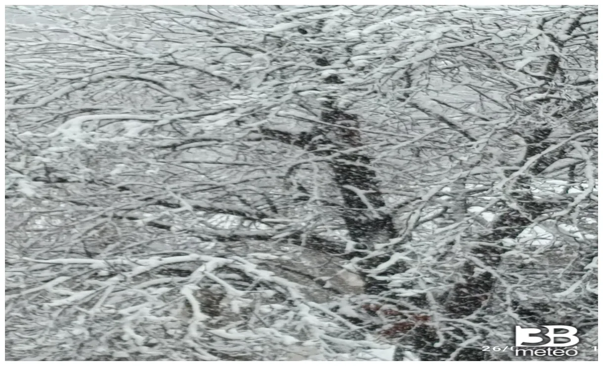 Foto meteo neve « 3b meteo