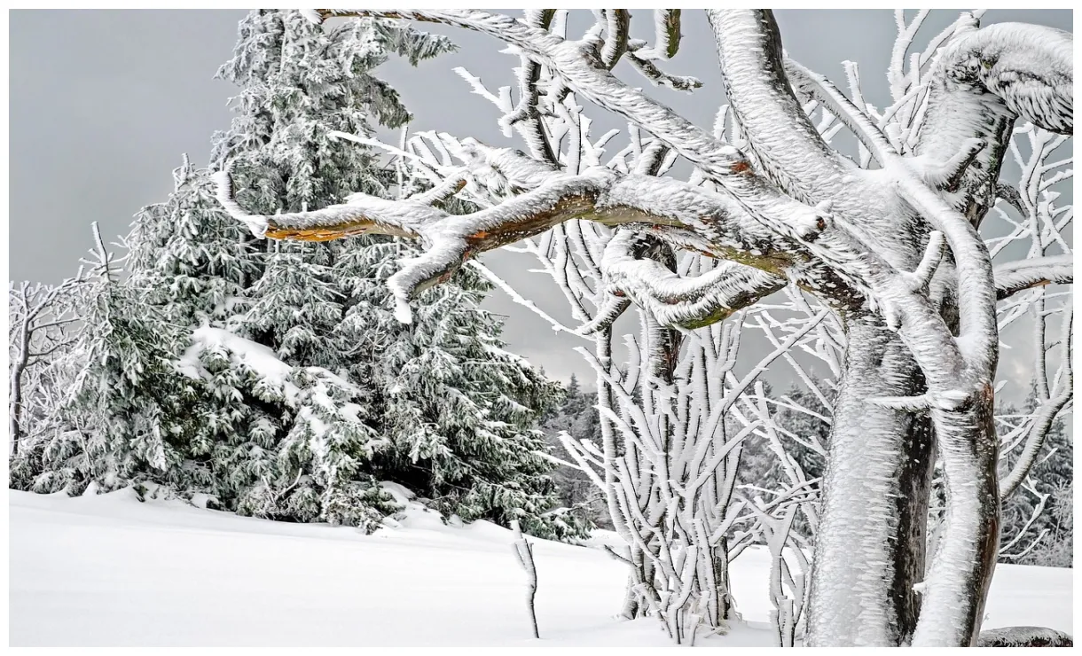 News / previsioni meteo neve allarme rosso in italia