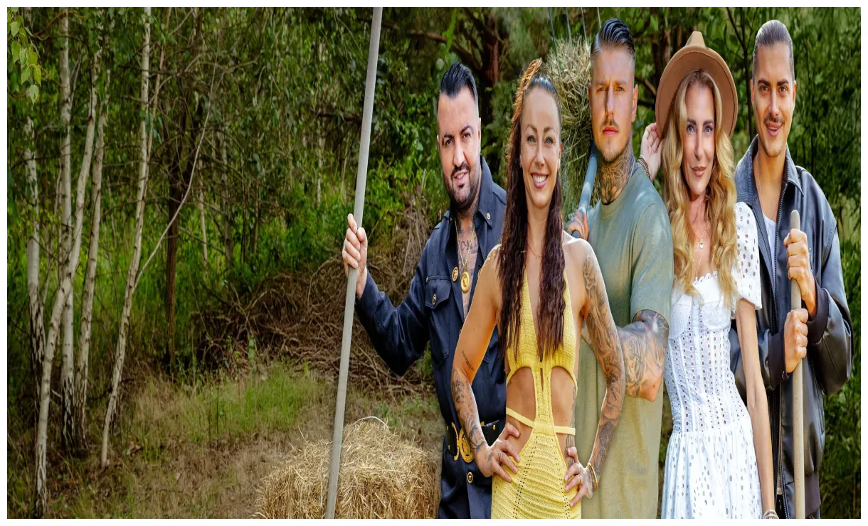 Der reality-tv-shows streamen rtl+