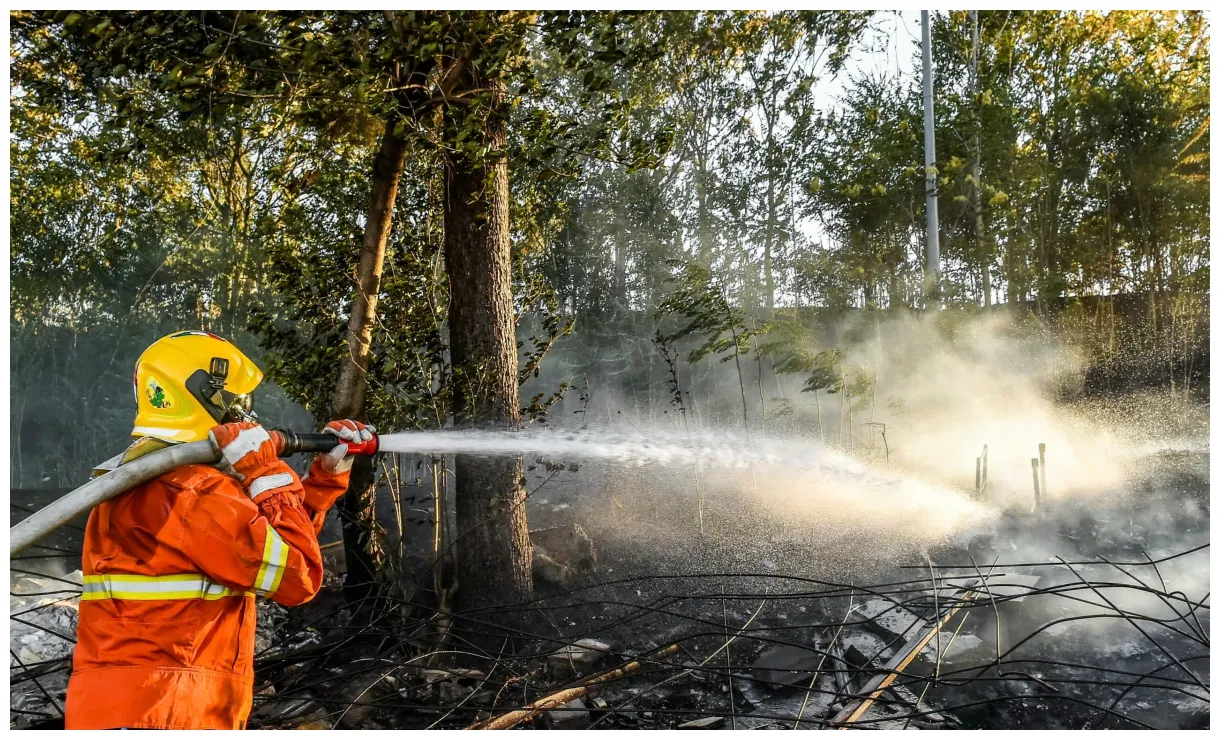 Cos'è il meccanismo di ue geagency