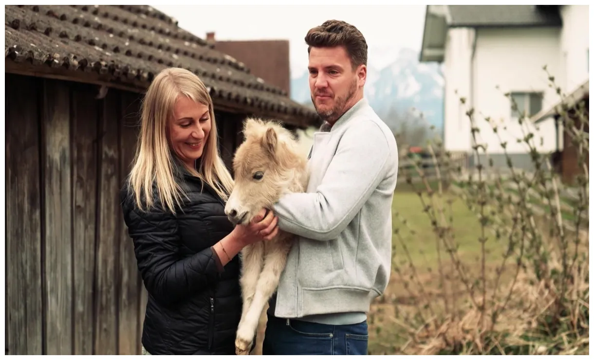 Folge 3 ralf, der bauernreporter staffel 7 rtl+