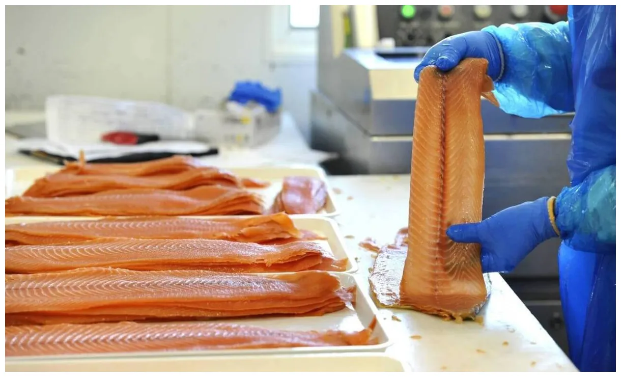 Listeria. du saumon fumé vendu chez leclerc rappelé partout en france