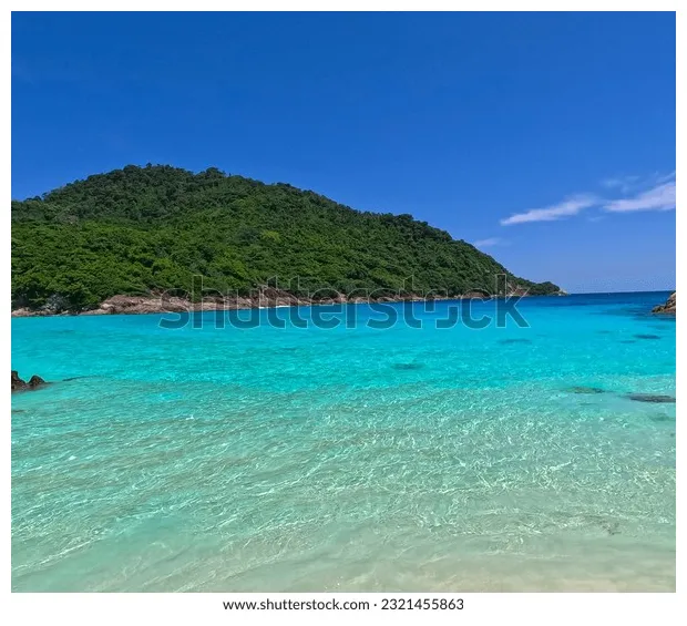 Over 49 royalty-free licensable s shutterstock