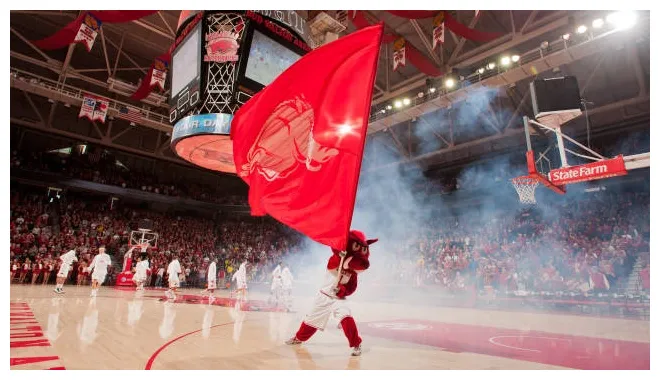 Razorbacks, arkansas razorbacks, college basketball