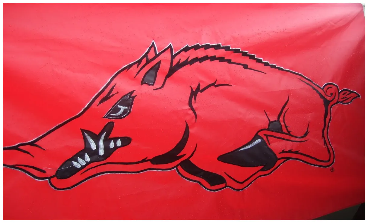 Razorback basketball