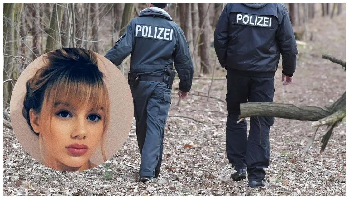 Missing mystery about arbors in the forest police are