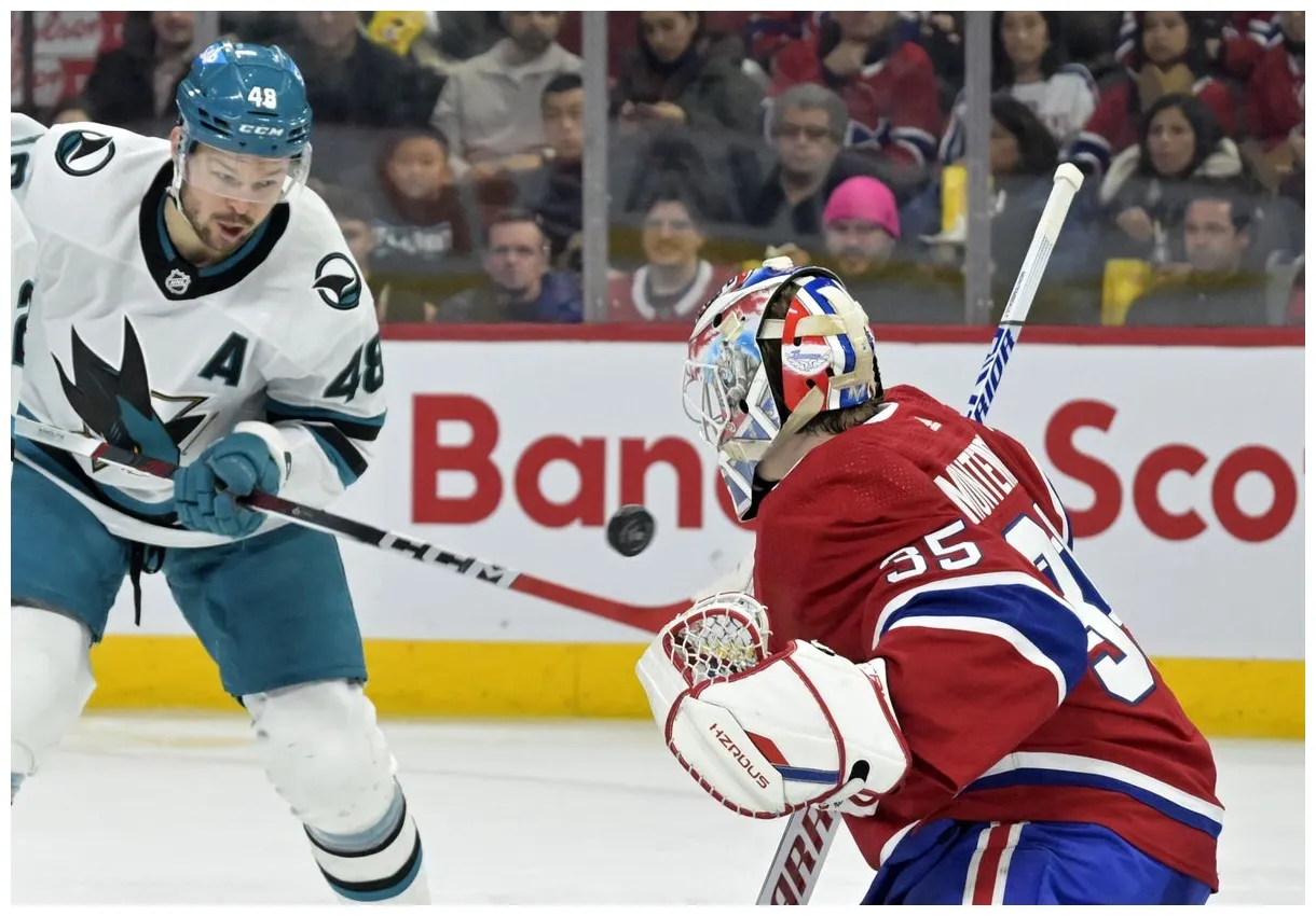 Sharks vs. senators player props tomas hertl saturday bestodds