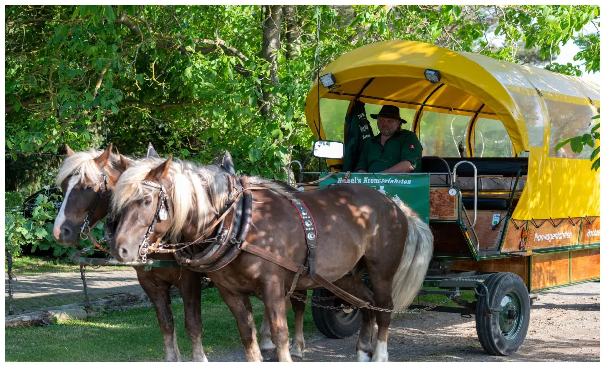 @mueller_sepp / twitter