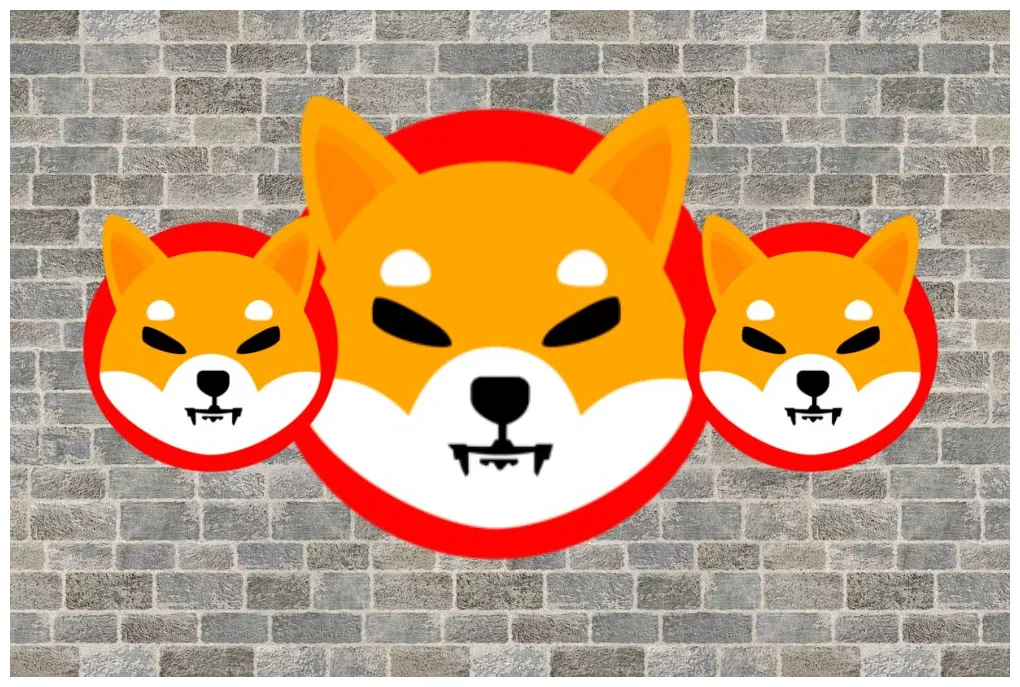 Shiba inu shib daily price chart week 2 january 2026