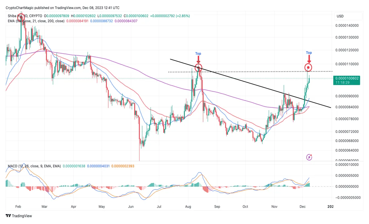Shiba inu shib trading volume indicators week 5 december 2025