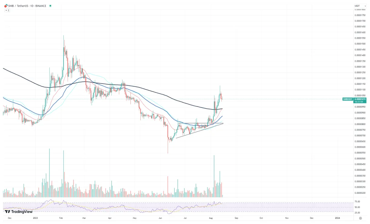 Shiba inu shib daily price chart week 5 december 2025