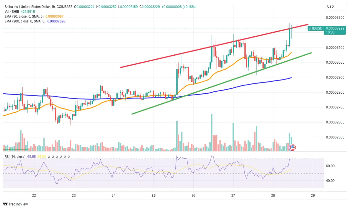 Shiba inu shib daily price chart week 1 january 2026