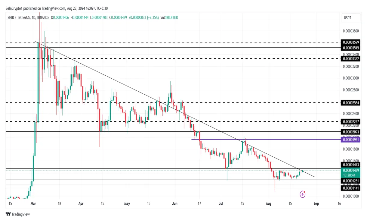 Shiba inu shib candlestick graph prediction week 1 january 2026