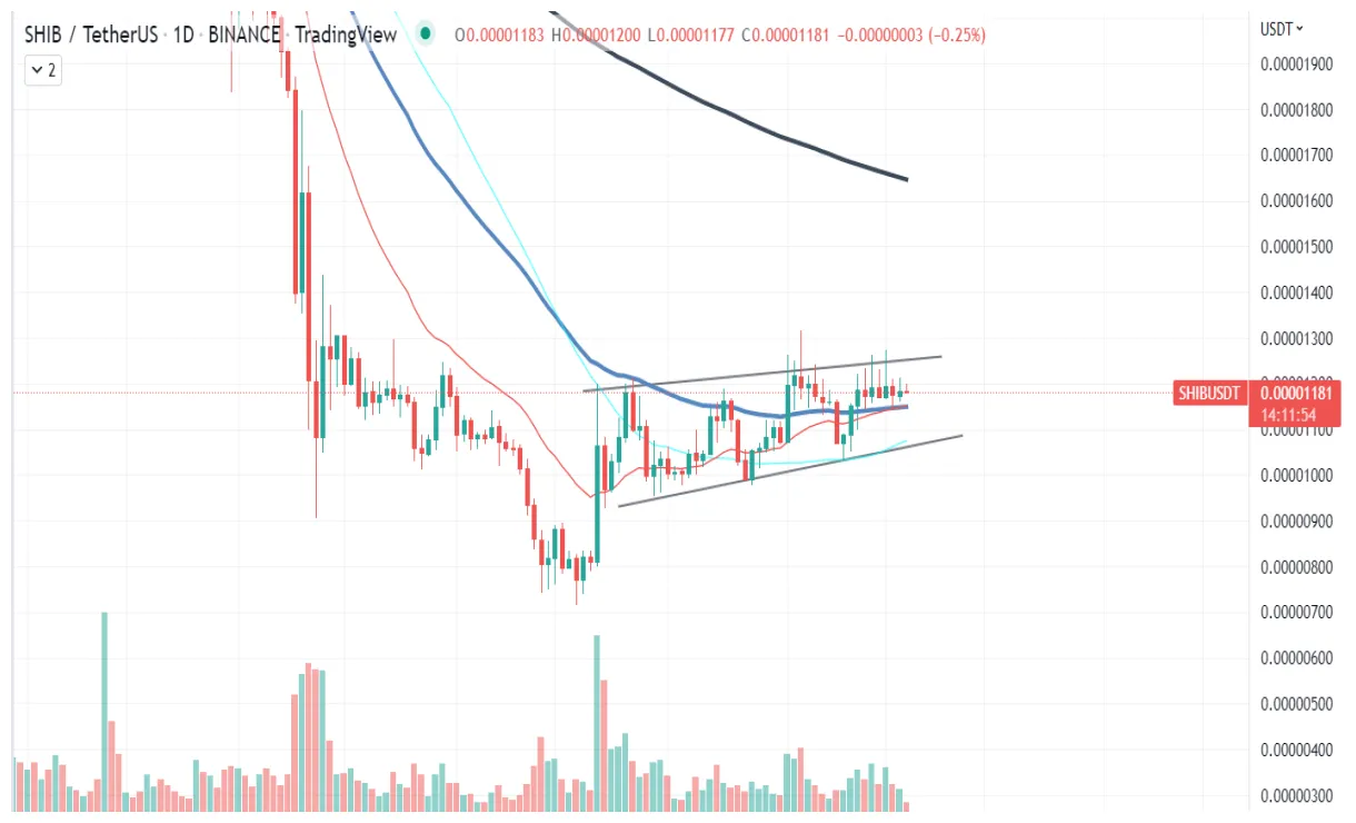 Shiba inu shib technical analysis chart week 1 january 2026