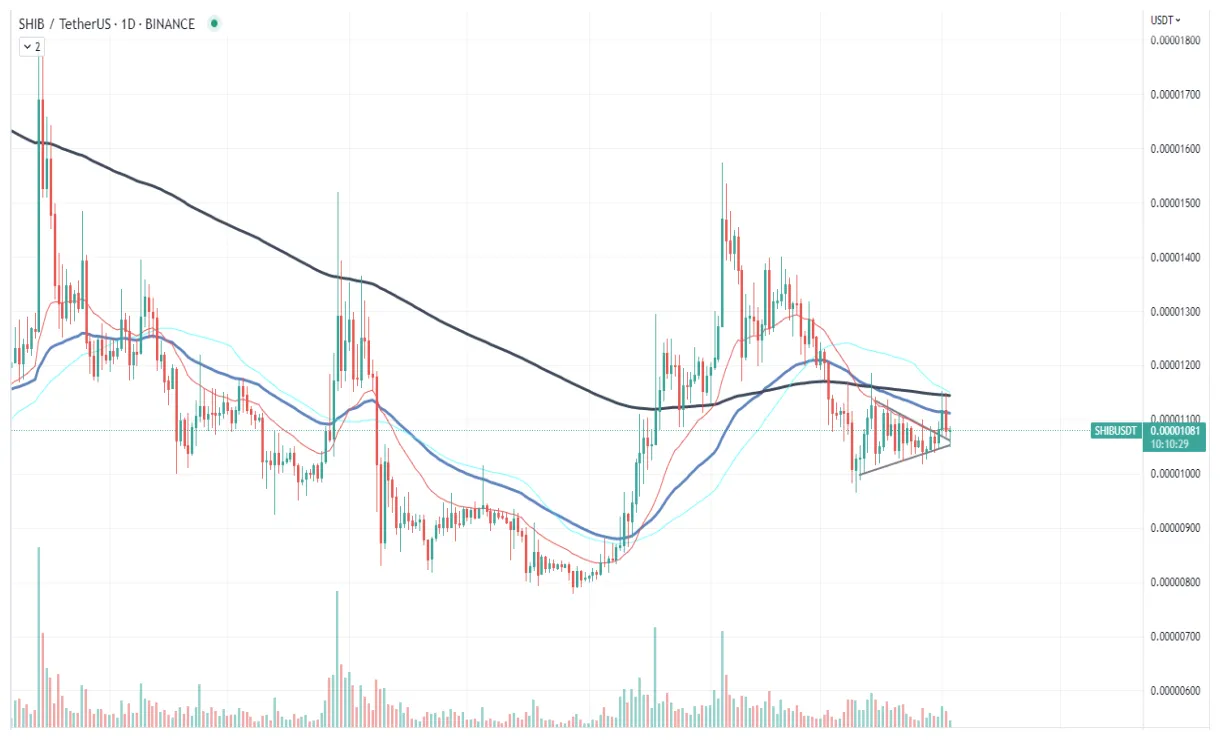 Shiba inu shib historical performance graph week 1 january 2026