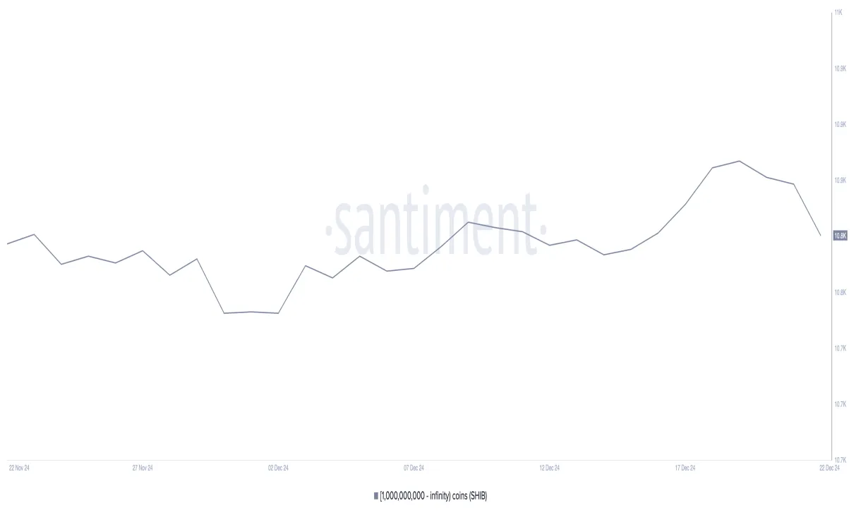 Shiba inu shib market trend analysis week 1 january 2026