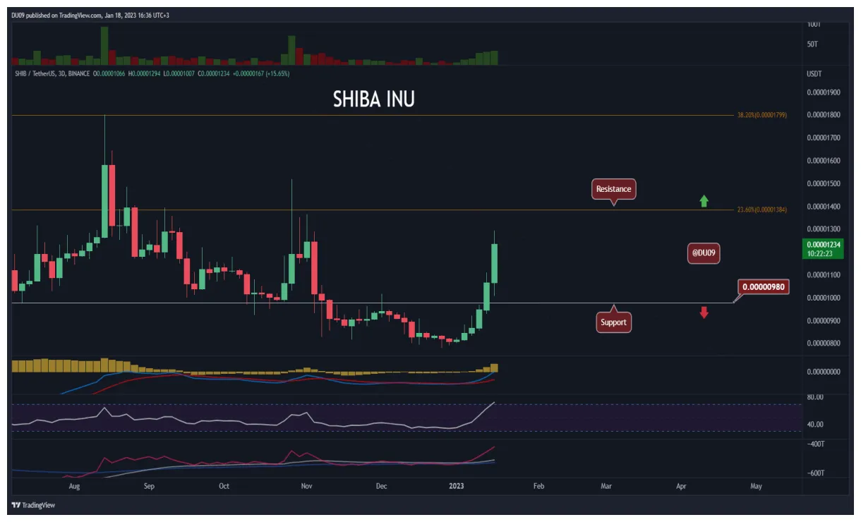 Shiba inu shib daily price chart week 1 january 2026