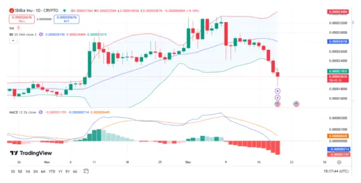 Shiba inu shib market trend analysis week 2 january 2026