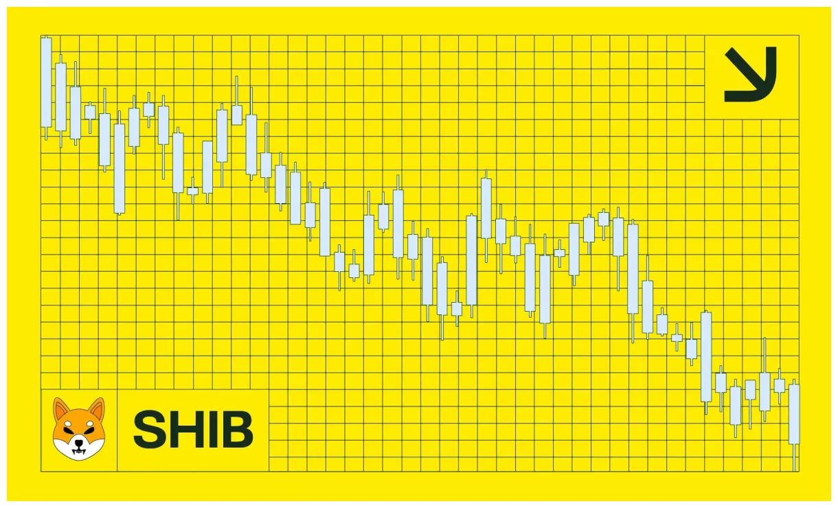 Shiba inu shib historical performance graph week 2 january 2026