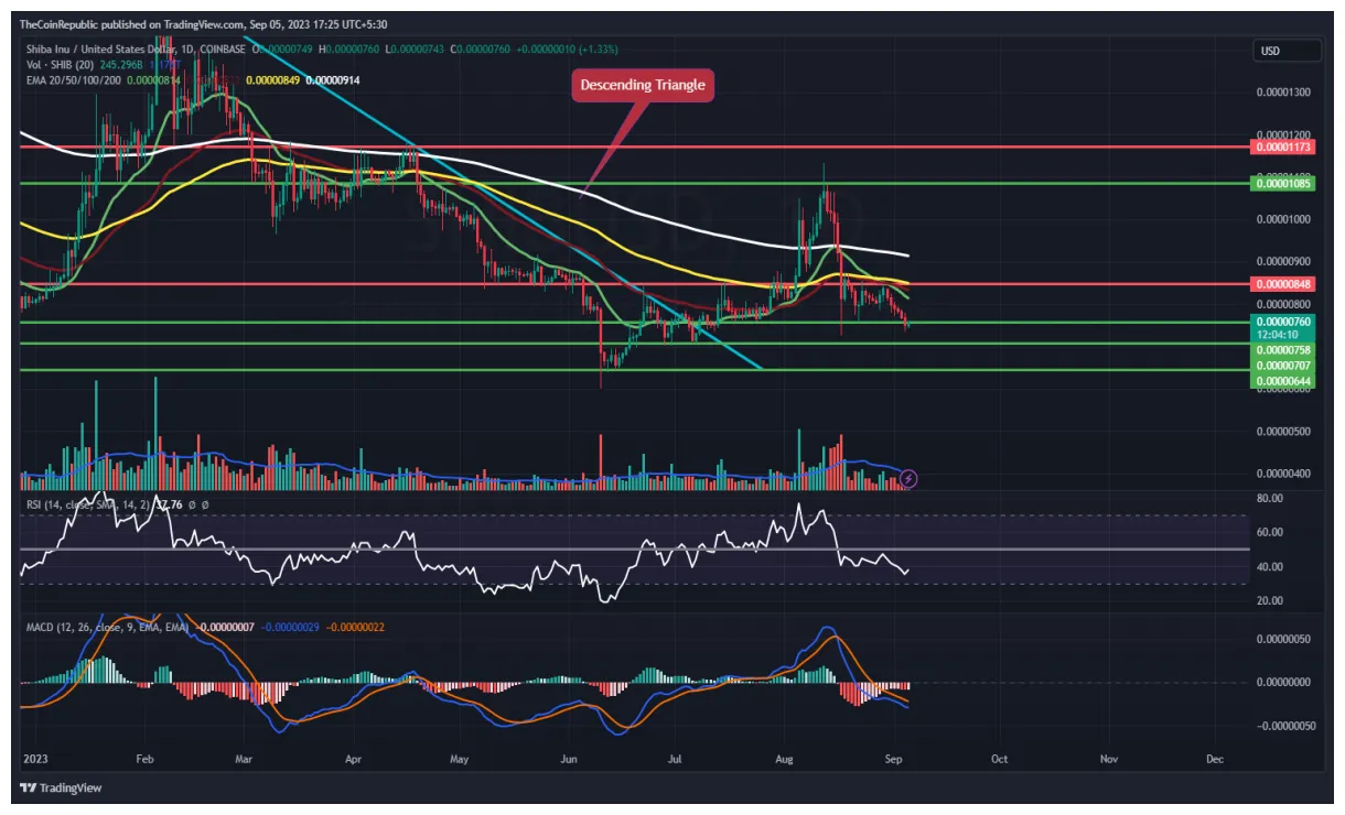 Shiba inu shib candlestick graph prediction week 2 january 2026
