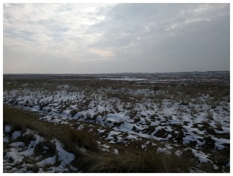 Sneeuw in nederland, hoeveel gaat er nog vallen? alpenweerman