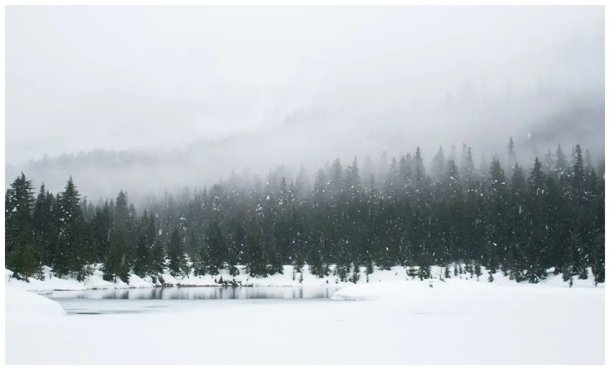 Feitjes! dit is alles wat je over wilt weten en meer