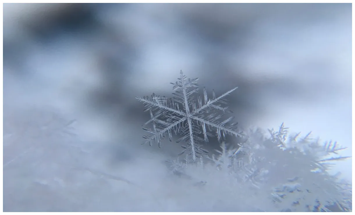 Feitjes! dit is alles wat je over wilt weten en meer