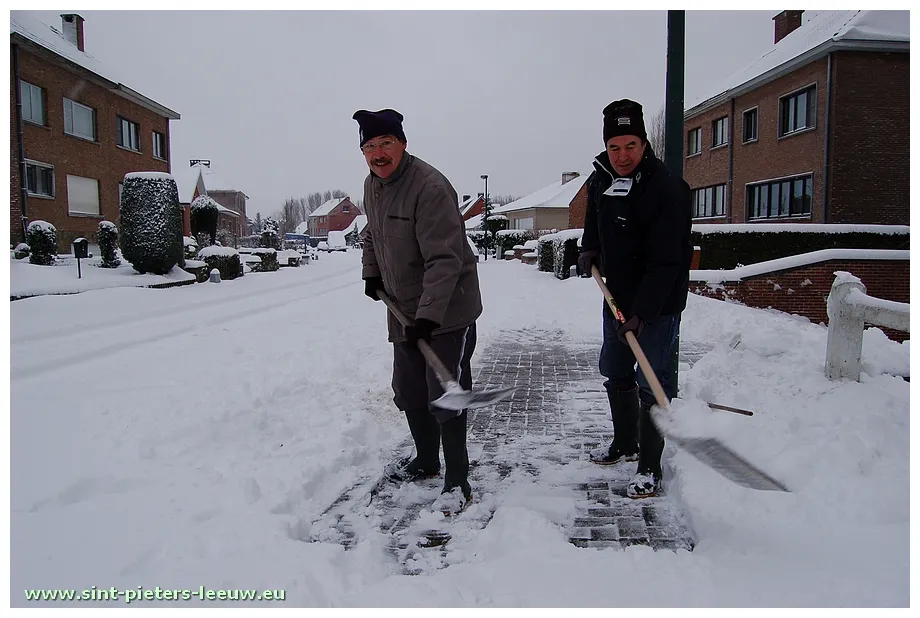 Sint-pieters-leeuw nieuwssite