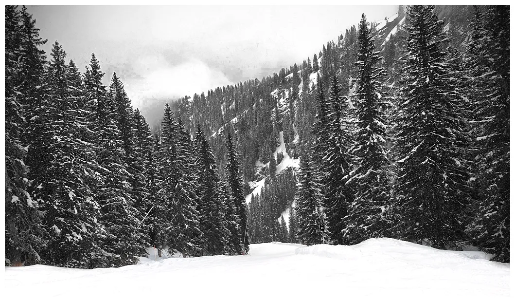 Begin december 2020 overvloedige sneeuwval in de alpen. mooie foto's