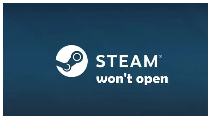 Steam wont show workshop downloads mgposa