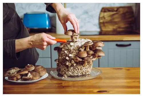 Stiftung warentest warnt vor vitamin d-pillen warum sie sogar schaden