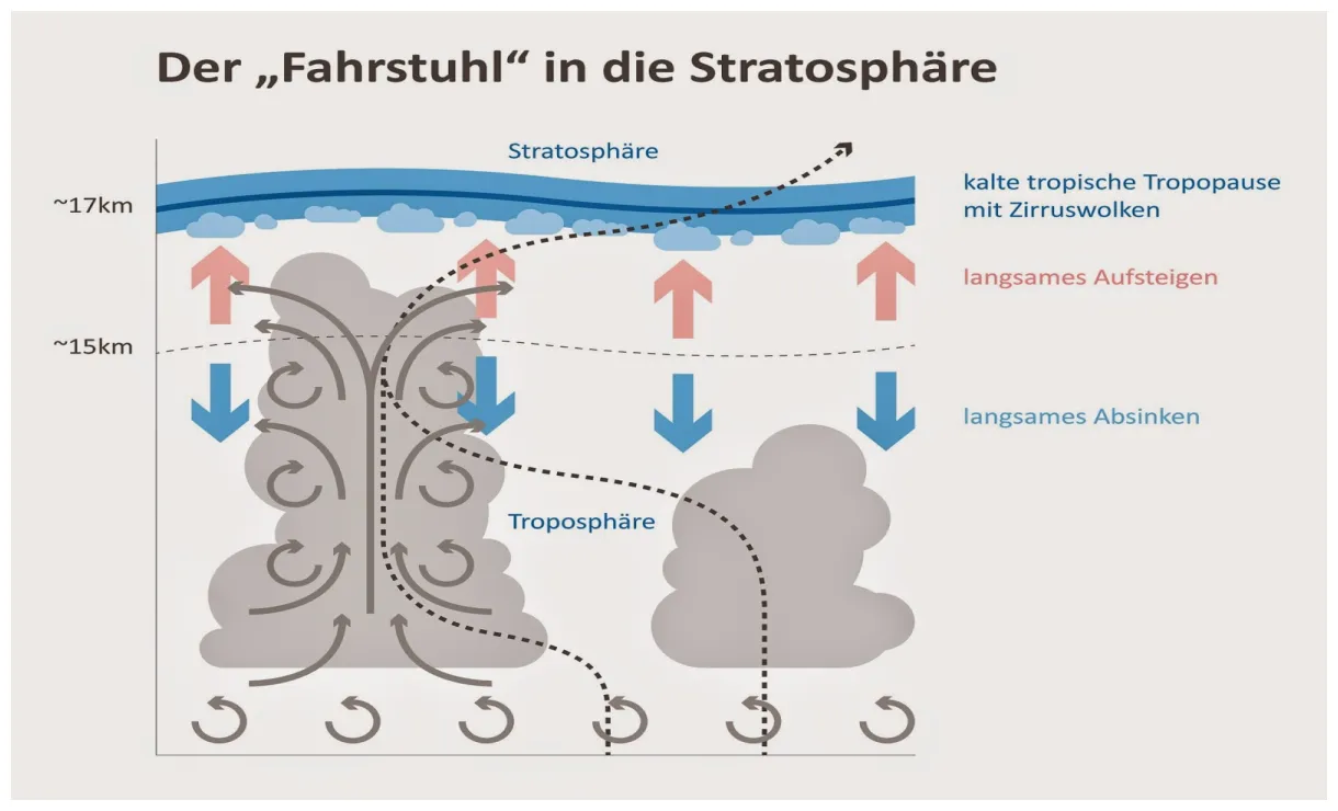 Arctic news like a giant elevator to the stratosphere
