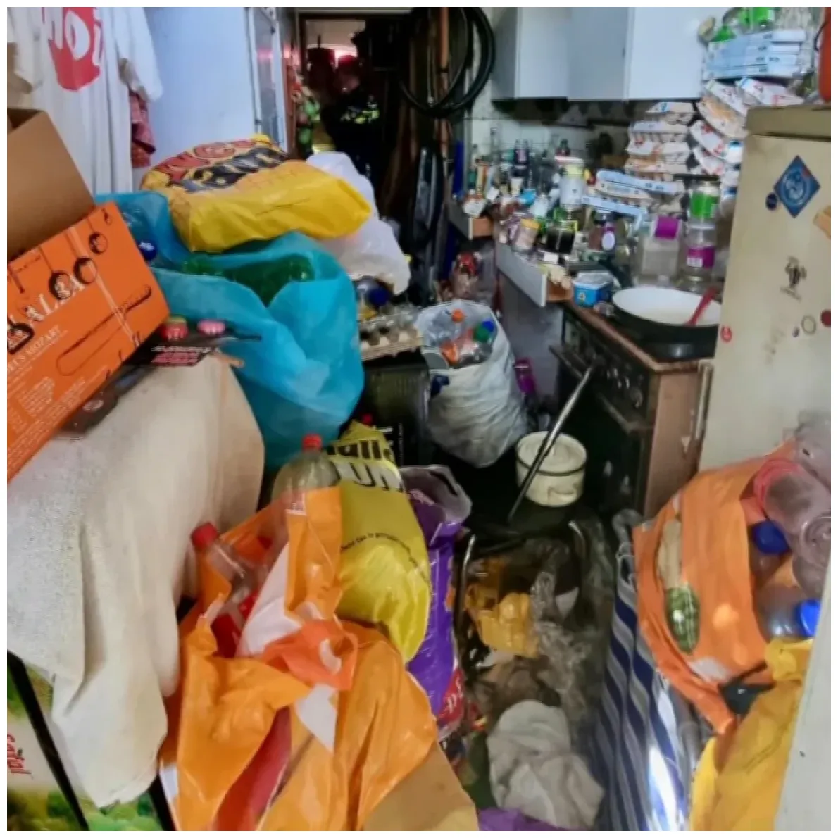 Deze winter zeer waarschijnlijk, dít wordt geadviseerd