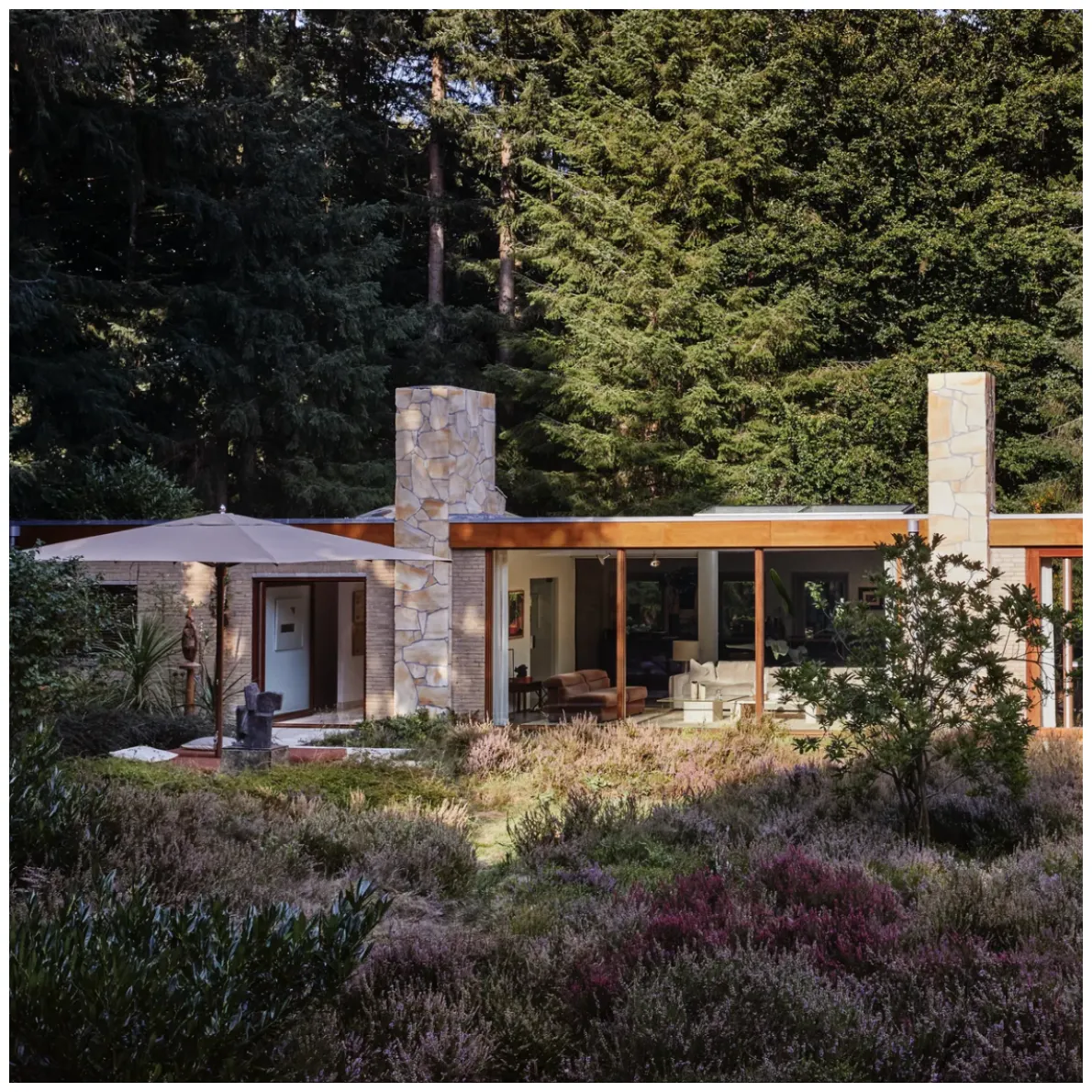 Deze winter zeer waarschijnlijk, dít wordt geadviseerd