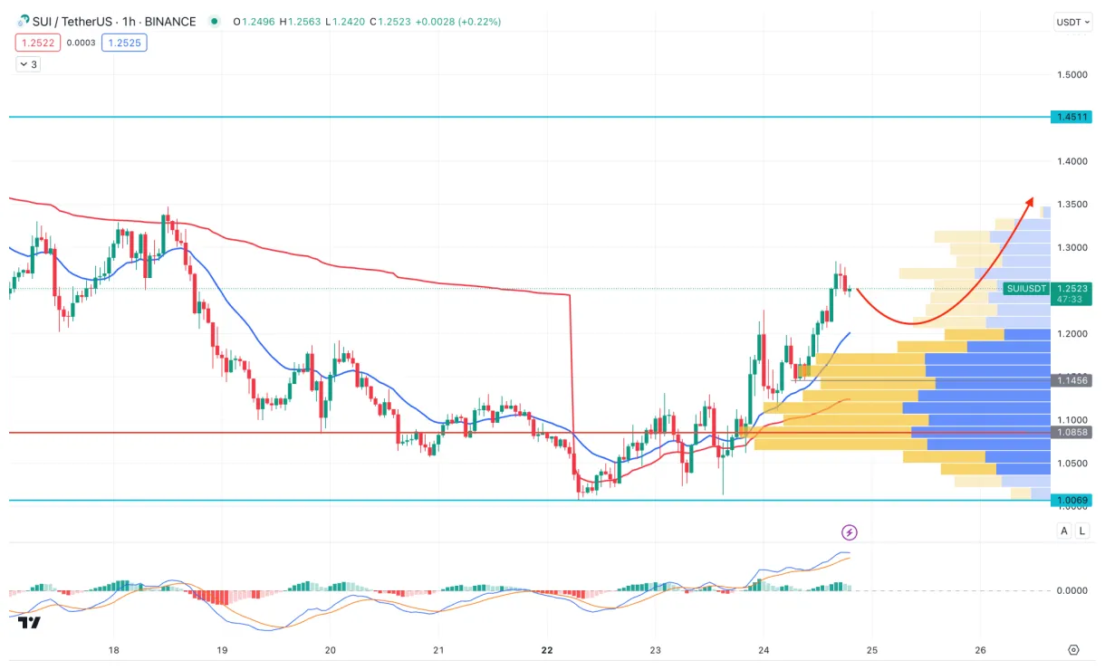 Sui sui candlestick graph prediction week 1 january 2026