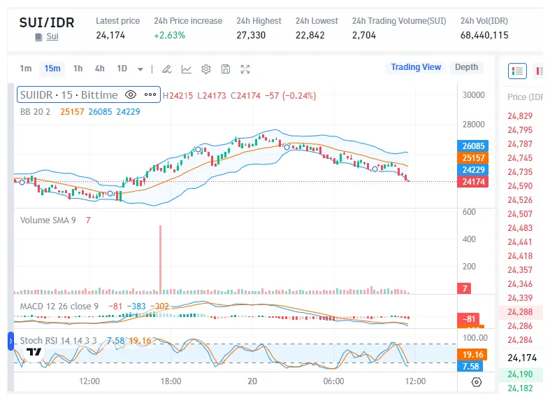 Sui sui price fluctuation graph week 1 january 2026