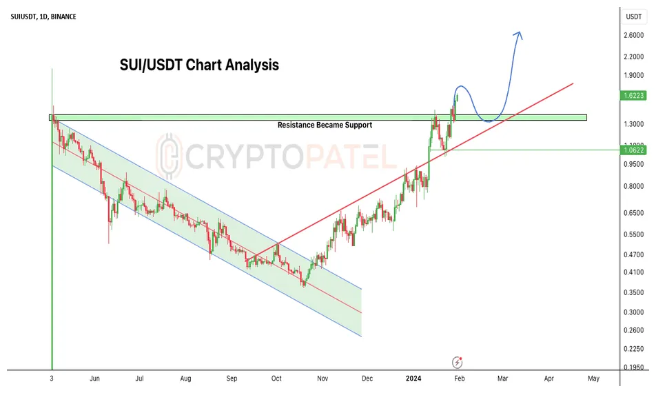 Sui sui market trend analysis week 2 january 2026