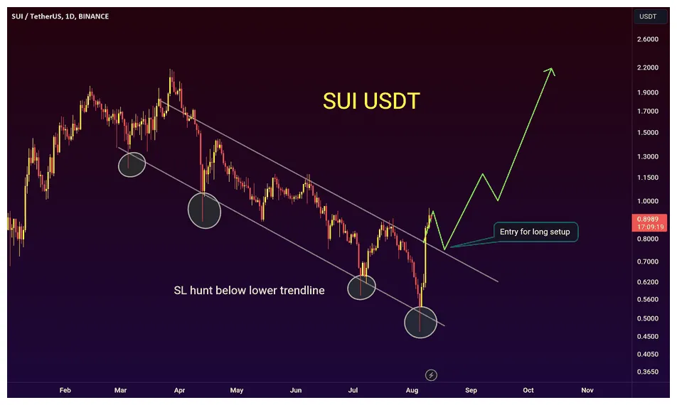 Sui sui historical performance graph week 2 january 2026