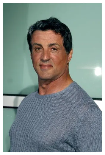 Сильвестр Сталлоне / hannibal2000.okis