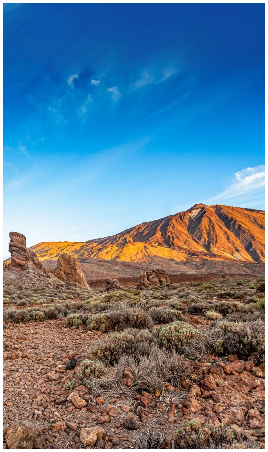 Urlaub alles, was du wissen musst!