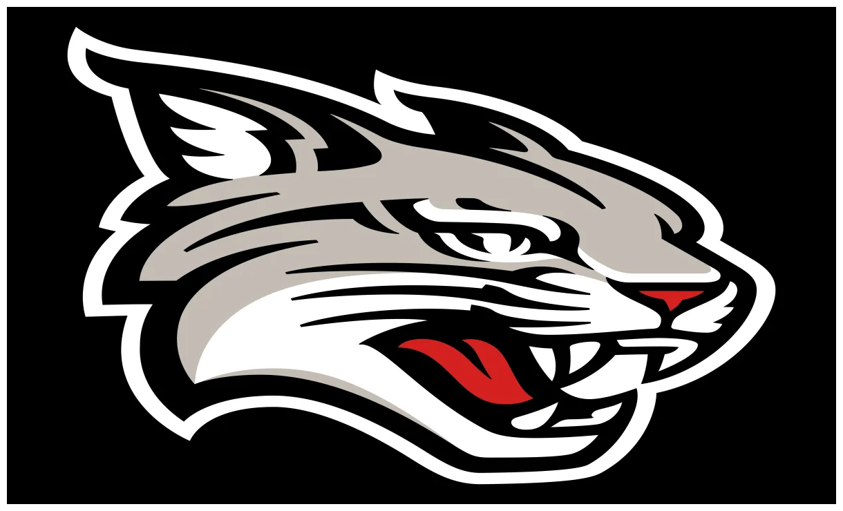 2025 tennessee tech college football scores