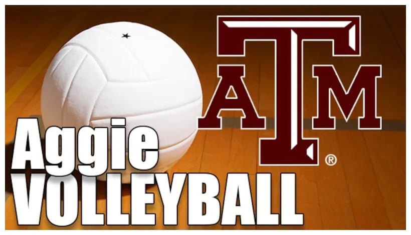 Releases 2024 schedule