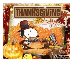 Thanksgiving GIFs | Tenor