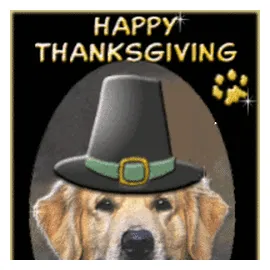 Thanksgiving Dog GIFs | GIFDB.com