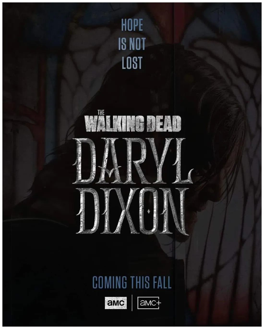 'the walking dead daryl dixon's norman reedus drops a massive hint