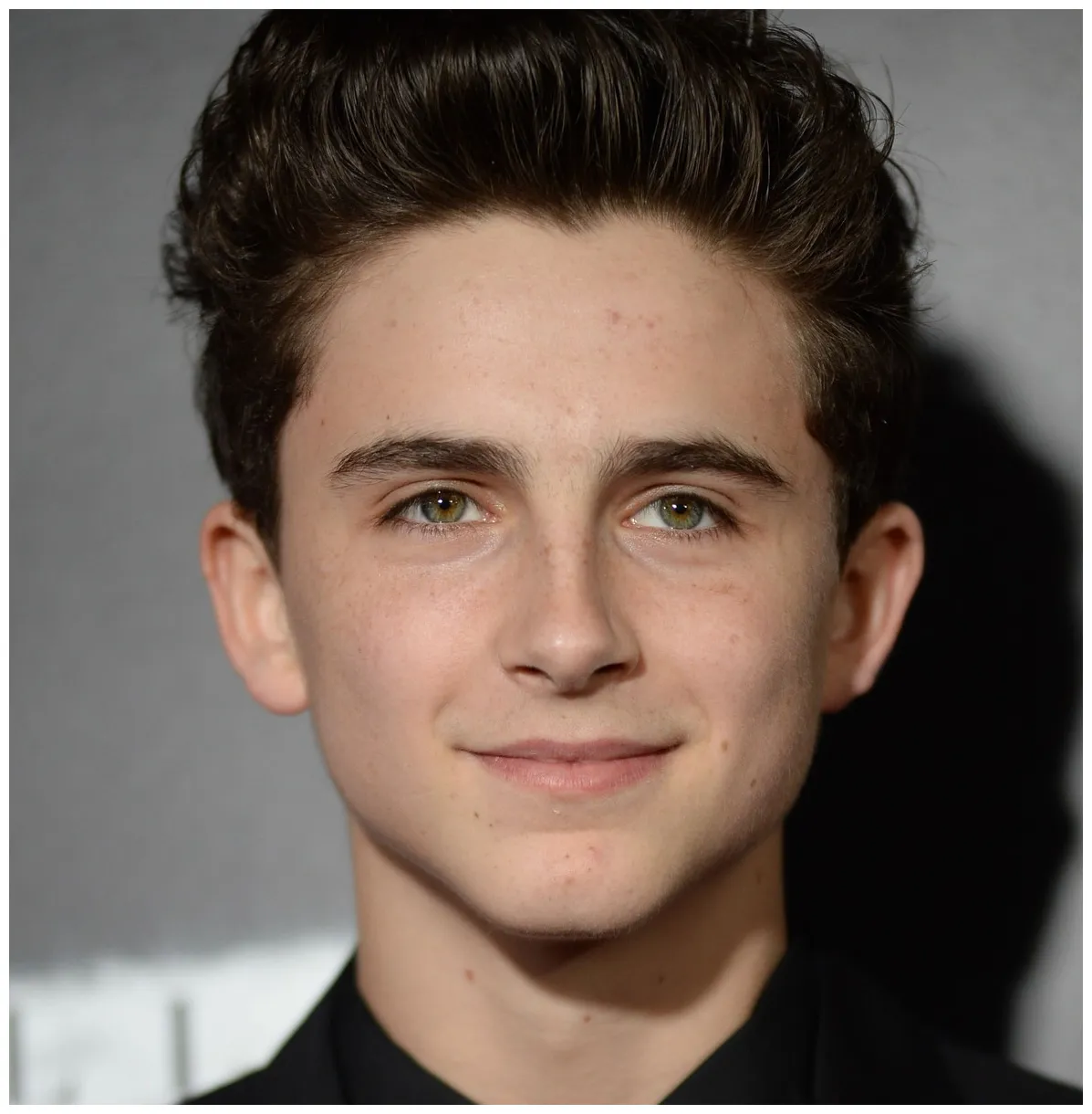 Timothée chalamet rotten tomatoes