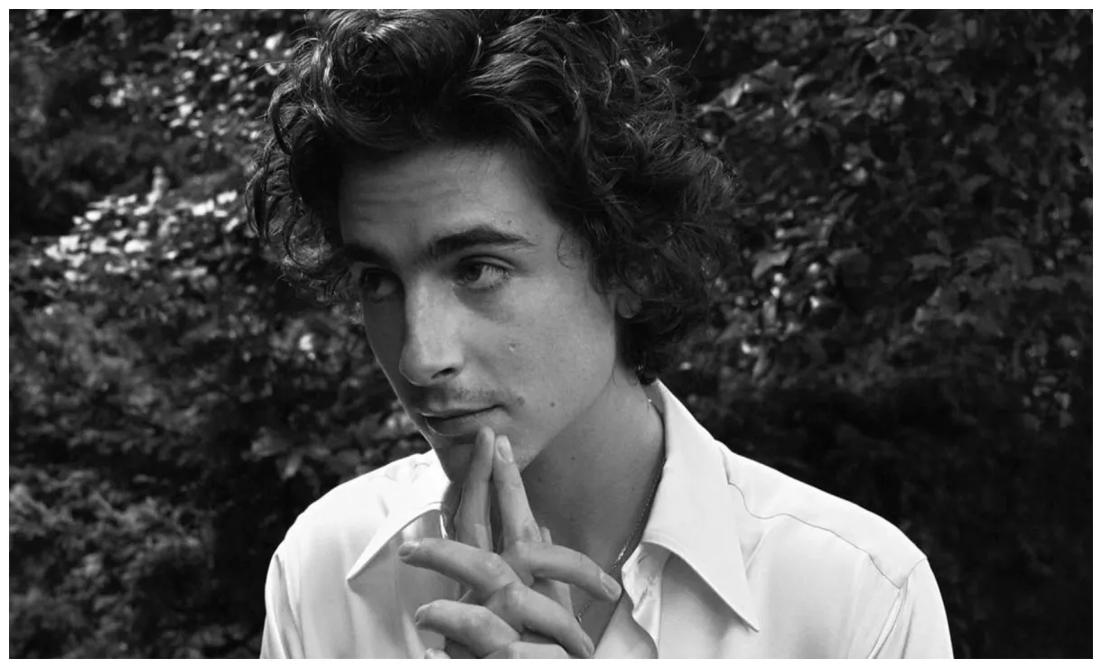 Timothée chalamet on being his 'authentic self' elle
